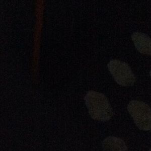 Meet your Posher, Carey